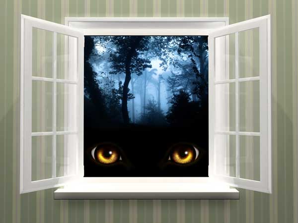 Who Killed 12 Year Old Stephanie Crowe in The Dark of Night?